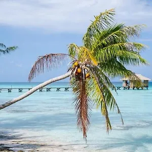 Sunset Hill , Bora Bora Polynésie française